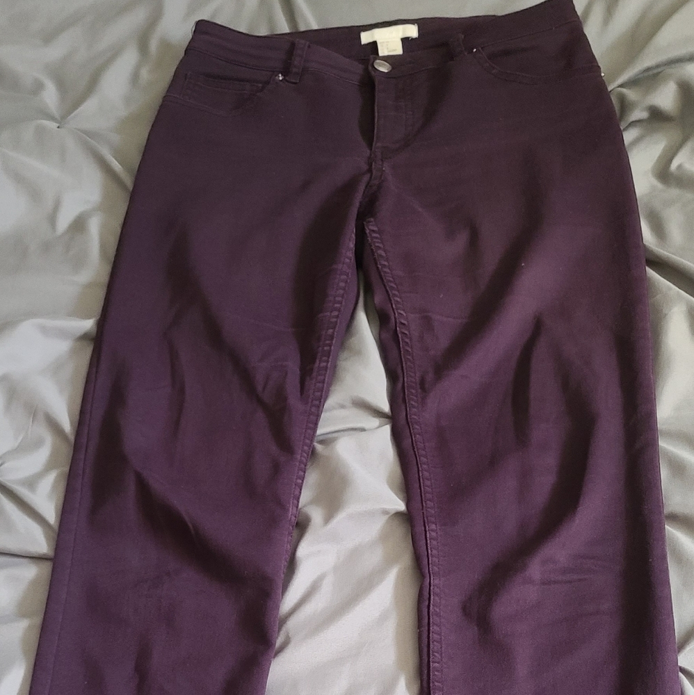 Purple Straight leg Pants